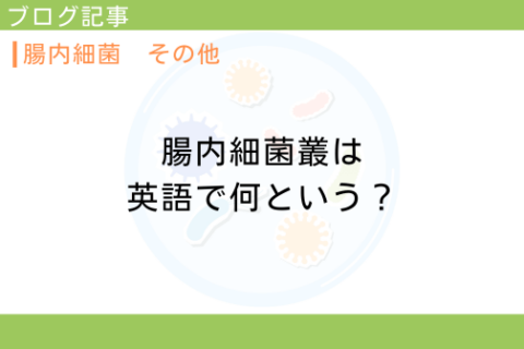 腸内細菌叢は英語で何という？